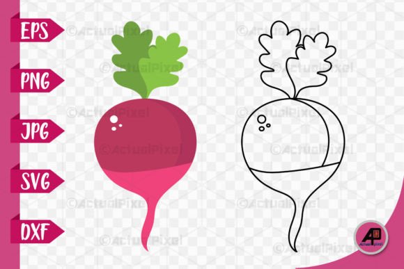 Download Beetroot Outline with Color Image - Bee Collection